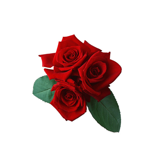 Flores